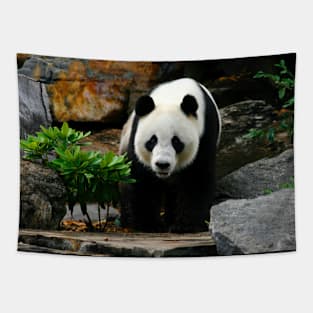 Giant Panda Tapestry