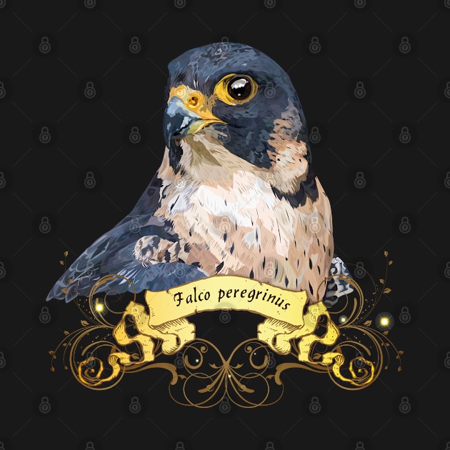 Peregrine falcon by obscurite