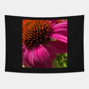 Fly with Pink Echinacea Tapestry