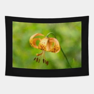 Impressionist Lily Tapestry