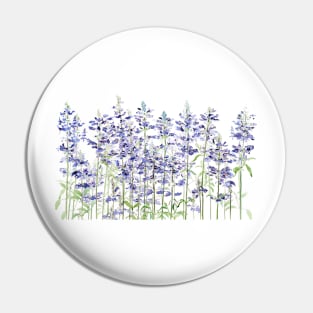 purple blue mealycup sage flowers watercolor Pin