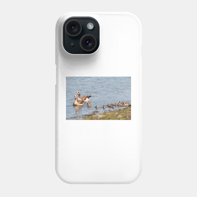 Goose Family Swimming in Kruger National Park, South Africa Phone Case by holgermader