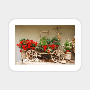 Red Geraniums on Antique Wooden Cart 1 Magnet