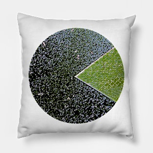 Green Wedge Pillow