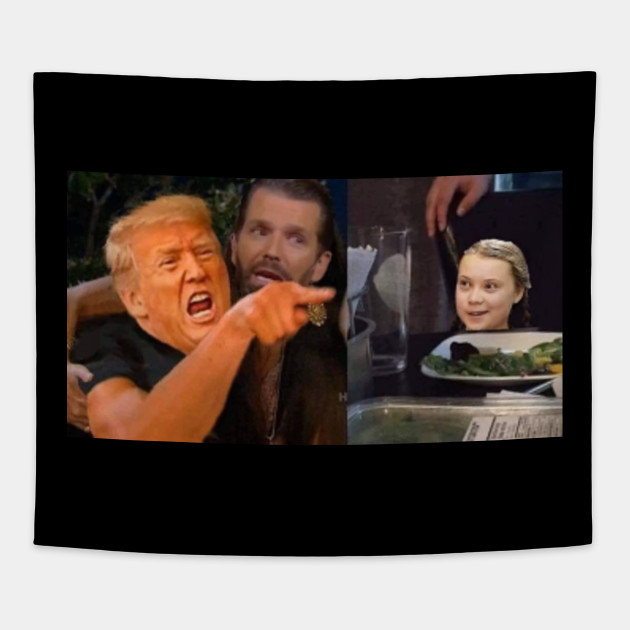 Donald Trump Vs Greta Thunberg Cat Meme Photoshopped Starecat Com