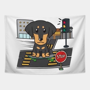 Funny dachshund is on a skateboard Tapestry