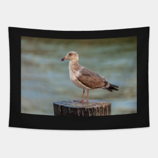 Western Gull Tapestry