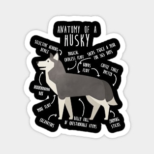 Grey Siberian Husky Dog Anatomy Magnet