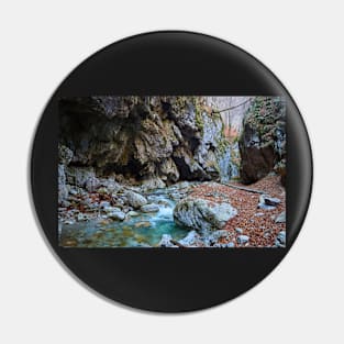 River in a canyon Pin