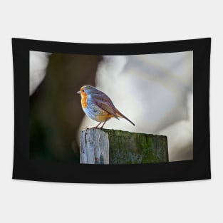 Robin Tapestry