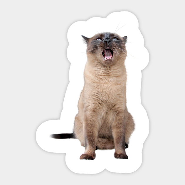 Cola Yawn Big - Cat - Sticker