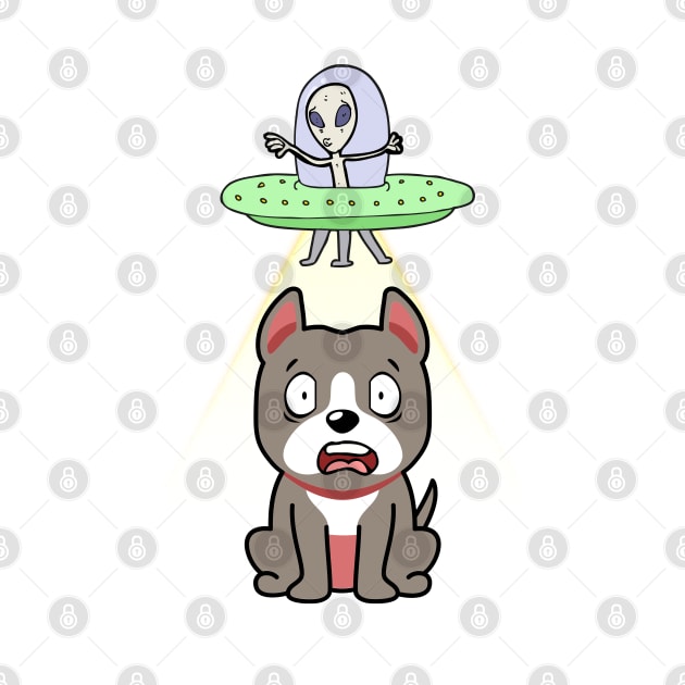 Cute grey dog is abducted by aliens by Pet Station