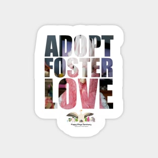 Adopt Foster Love!  Mr. BoBae! Magnet