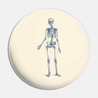 Full Body Skeleton - Vintage Anatomy Poster Pin