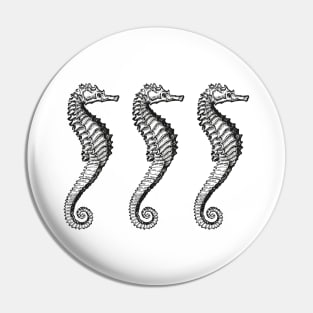 Seahorse Trio | Vintage Seahorses | Three Seahorses | Pin