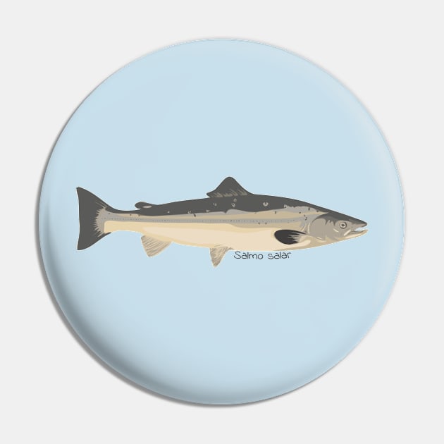 Salmo salar cartoon Pin by DashingGecko