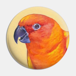 Sun Conure - bird portrait painting Pin