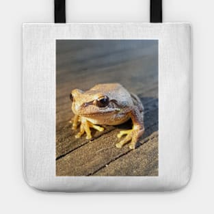 Golden Frog  - by Avril Thomas Tote