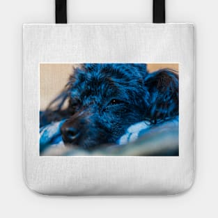 Blue Puppy Tote