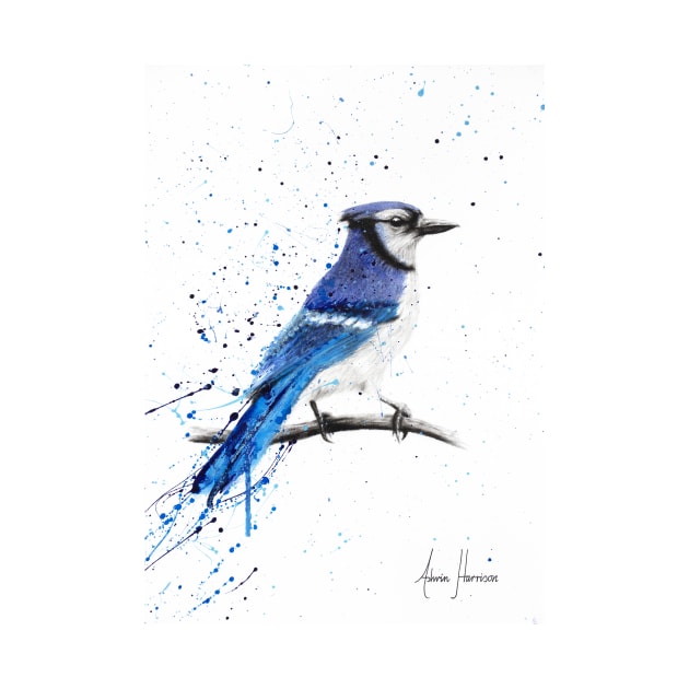 Blue Jay by AshvinHarrison