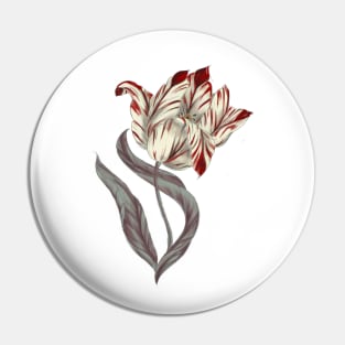 Rembrant Parrot Tulip Pin