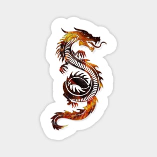 Dragon Premium 3D look Fire Background Zodiac sign Magnet