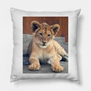 Lion Cub Pillow