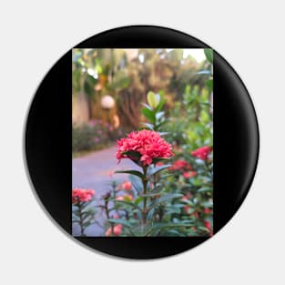 Chinese Ixora Pin