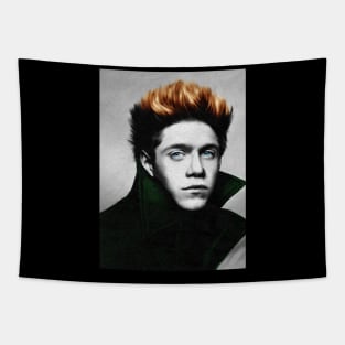 Niall Horan hello lovers Tapestry