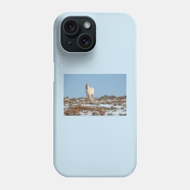 Wild horses, Arizona, nature, wildlife, gifts Phone Case by sandyo2ly