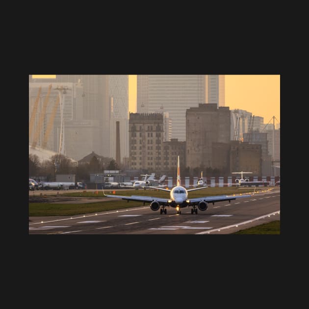 Metal birds at London City Airport by Z Snapper