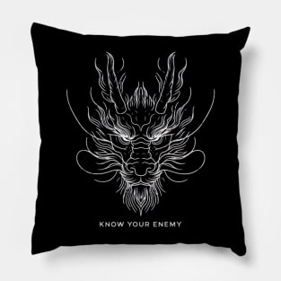 Know your enemy Pillow