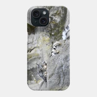 Snowleopard Phone Case