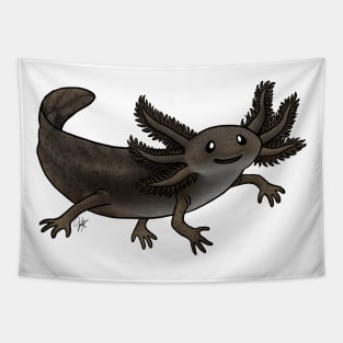 Amphibians - Axolotl - Black Melanoid Tapestry