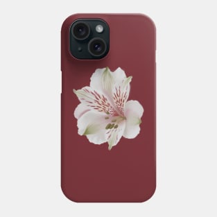 Alstroemeria - Digital Illustration of a Lily of the Incas Flower, floral Phone Case