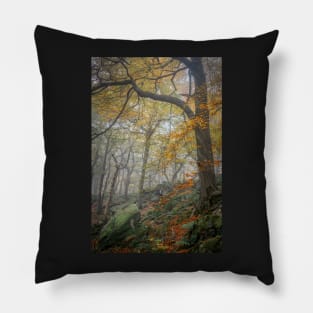 Autumn Trees and Rocks in Mist Pillow