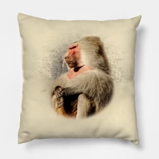 Baboon Pillow