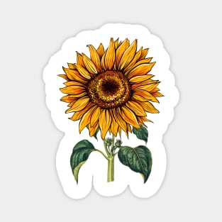 Sunflower Flora Positive Minimalist Retro Japanese Vintage Magnet