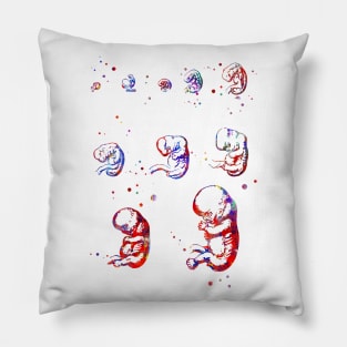 Cephalic position Pillow