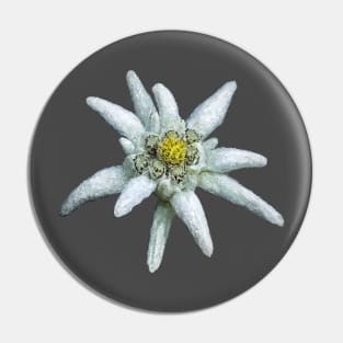 Edelweiss Pin