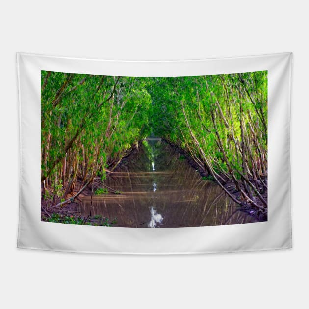 Waterway in the Tra Su Cajuput Forest, Vietnam Tapestry by BrianPShaw