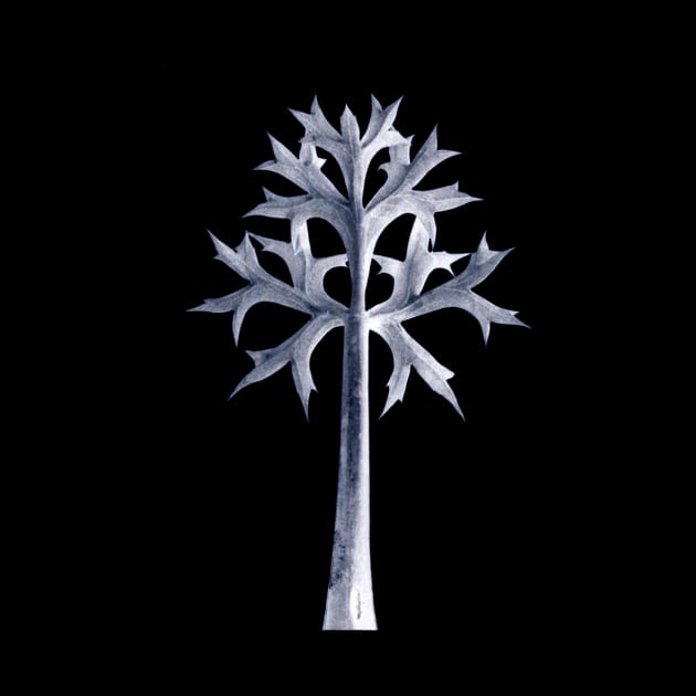 Spiny Plant by OpsimathArt