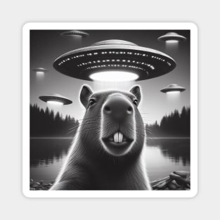 Capybara selfie with UFO Magnet