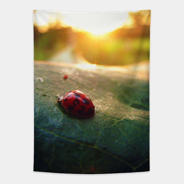 Ladybug Sunburst Tapestry by ARTWORKandBEYOND