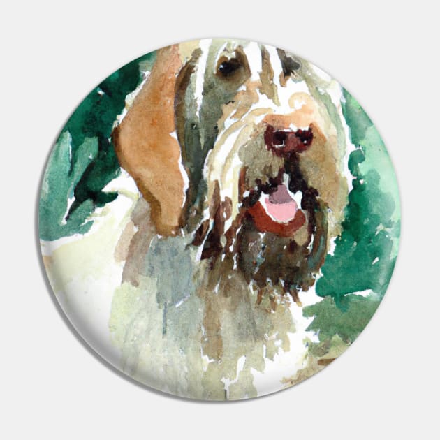 Spinone Italiano Watercolor - Dog Lovers Pin by Edd Paint Something