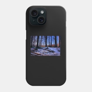 Hemlock Ravine Park 01 Phone Case