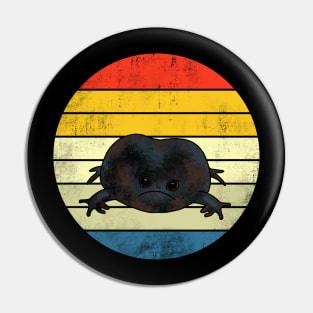 Rain Frog Retro Sunset Pin