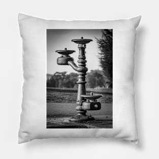 Classic Water Fountain 2 Pillow