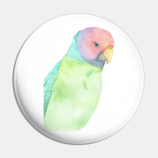 Plum-headed parakeet watercolor portrait Pin