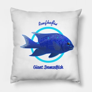 Giant Damselfish Pillow